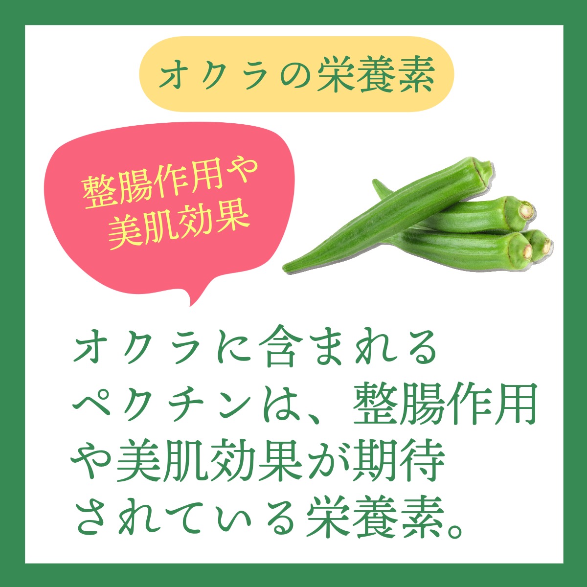 ネバネバ＆苦味のヘルシー2種 ~ゴーヤ＆オクラ~