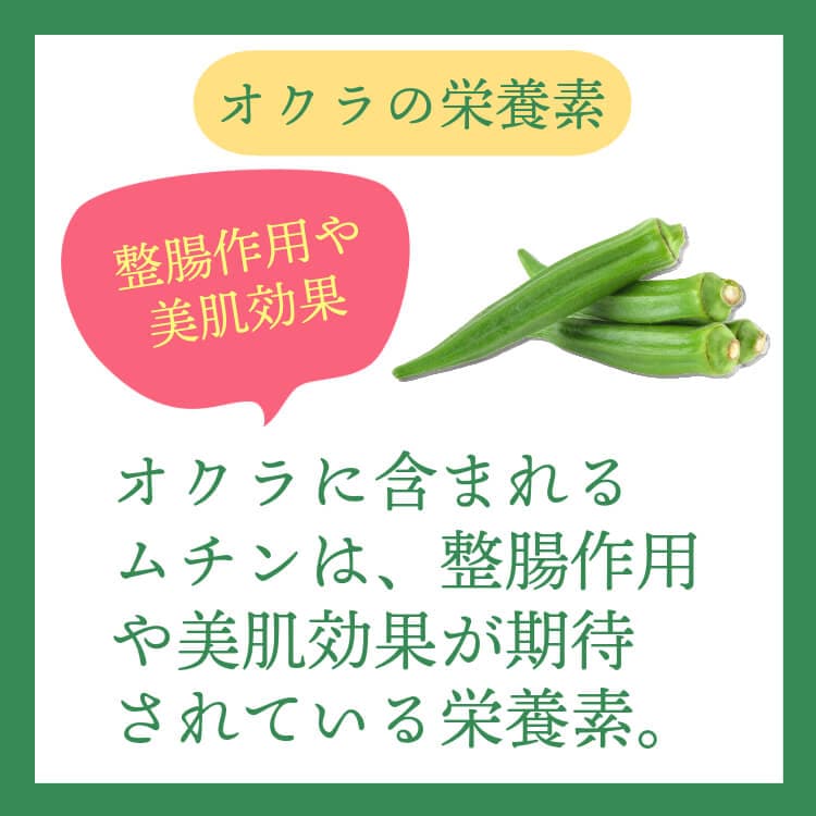 ネバネバ＆苦味のヘルシー2種 ~ゴーヤ＆オクラ~