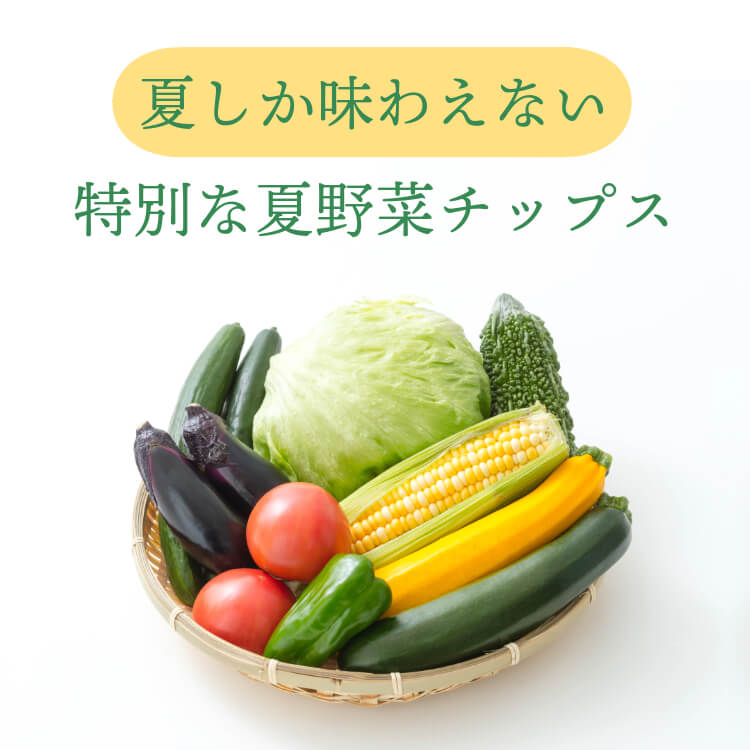 食物繊維たっぷり夏のコンビ ~ゴーヤ＆ごぼう~
