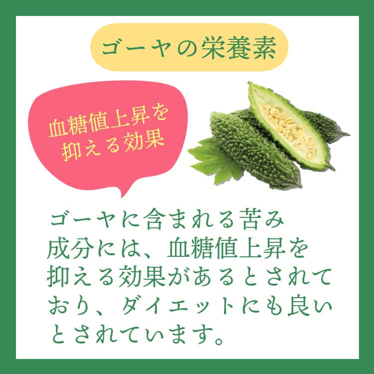 食物繊維たっぷり夏のコンビ ~ゴーヤ＆ごぼう~