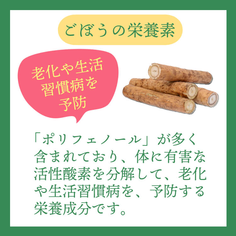 食物繊維たっぷり夏のコンビ ~ゴーヤ＆ごぼう~
