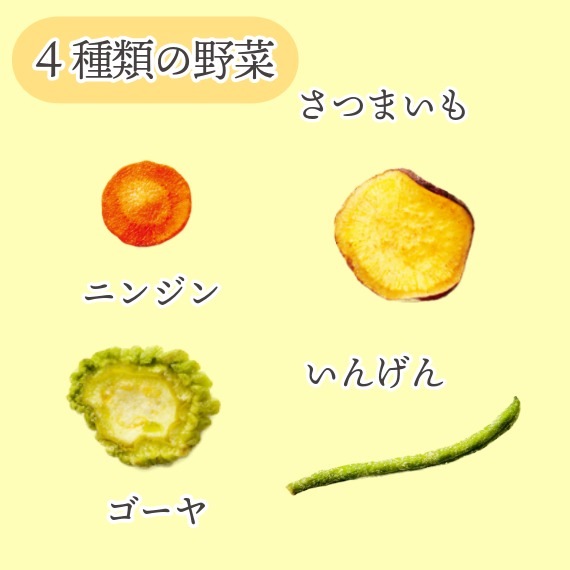 春限定の野菜と果物 ~10種類の野菜果物チップス~