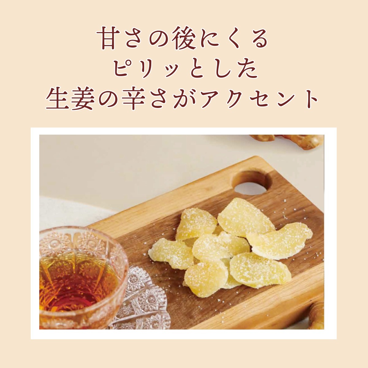 【中古】 母と子の健康学/明治製菓/明治製菓株式会社 中古】 母と子の健康学/明治製菓/明治製菓株式会社 2025年最新】
