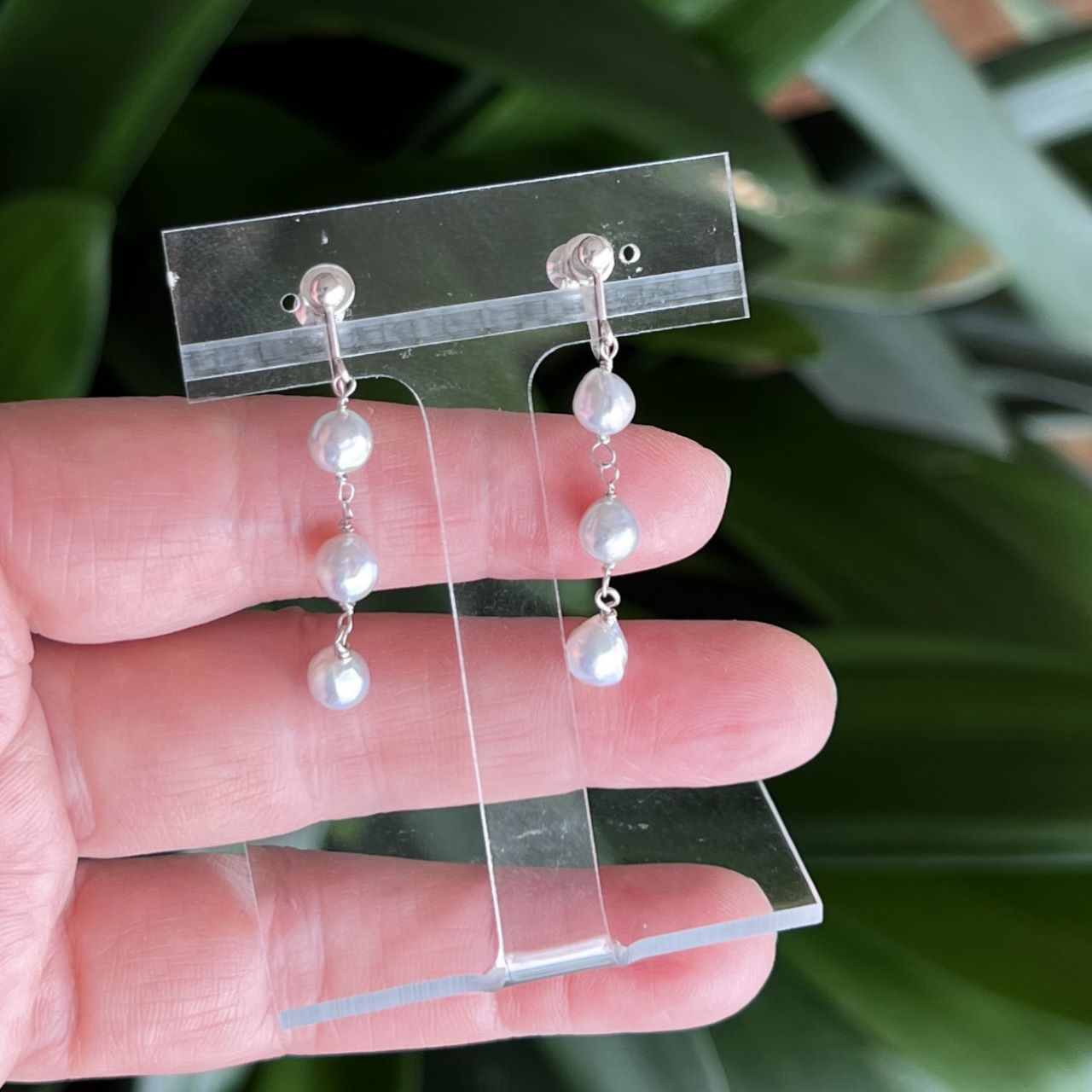 �ڥʥ�����֥롼��3���դ�5�Х�����SV�ڤ����俿���E-3258�ڼ㶹�ѡ����