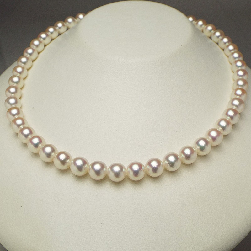 �ܿ��줬����������̵�������Υͥå��쥹����̩�˴������Ȥ��������ۥ磻�ȷϥԥ󥯤����䣸���������ݣ������ͥå��쥹�ڤ����俿���