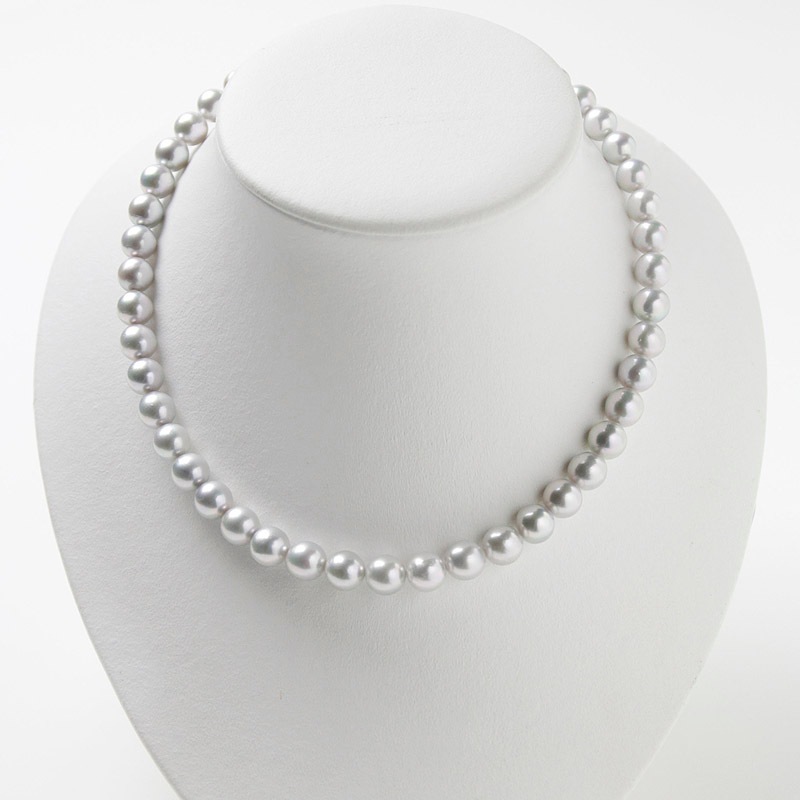 ͥ졼ϥѡݣǤͥå쥹Խ˵䤪ޯȤˤФܤץ쥼ȤˤĤޯαޥԥդڤ俿