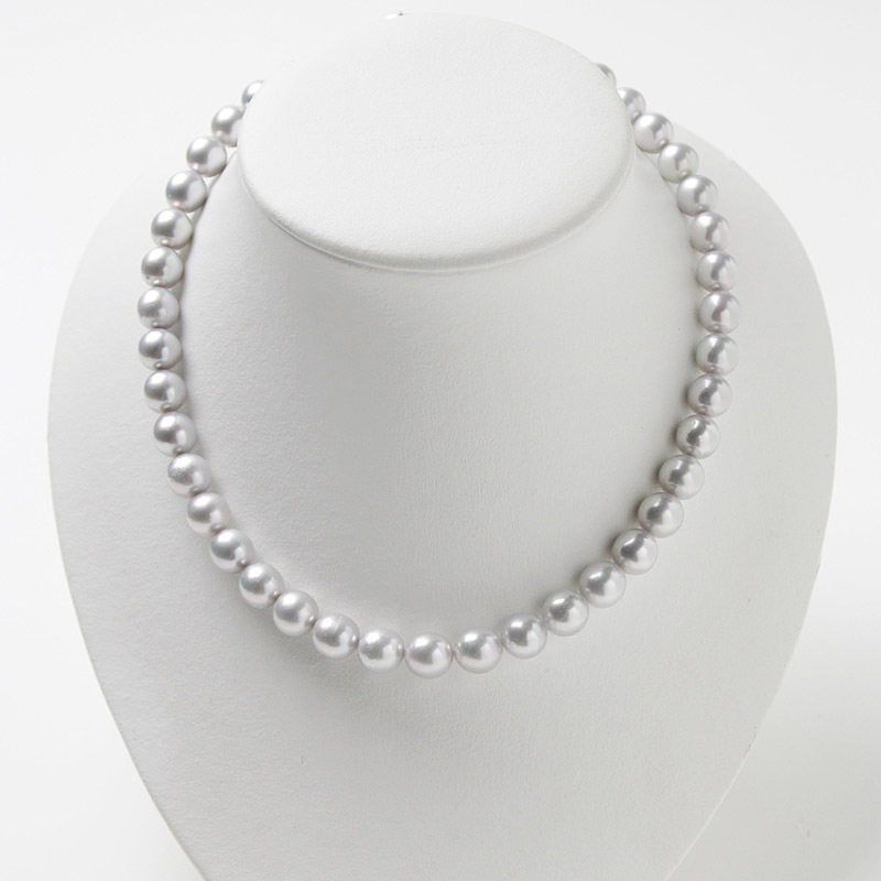 ¸ߴ롢뤵Ǥ졼Ϥγݣ5ͥå쥹Խ˵䤪ޯȤˤФܤץ쥼ȤˤĤޯαޥԥդڤ俿