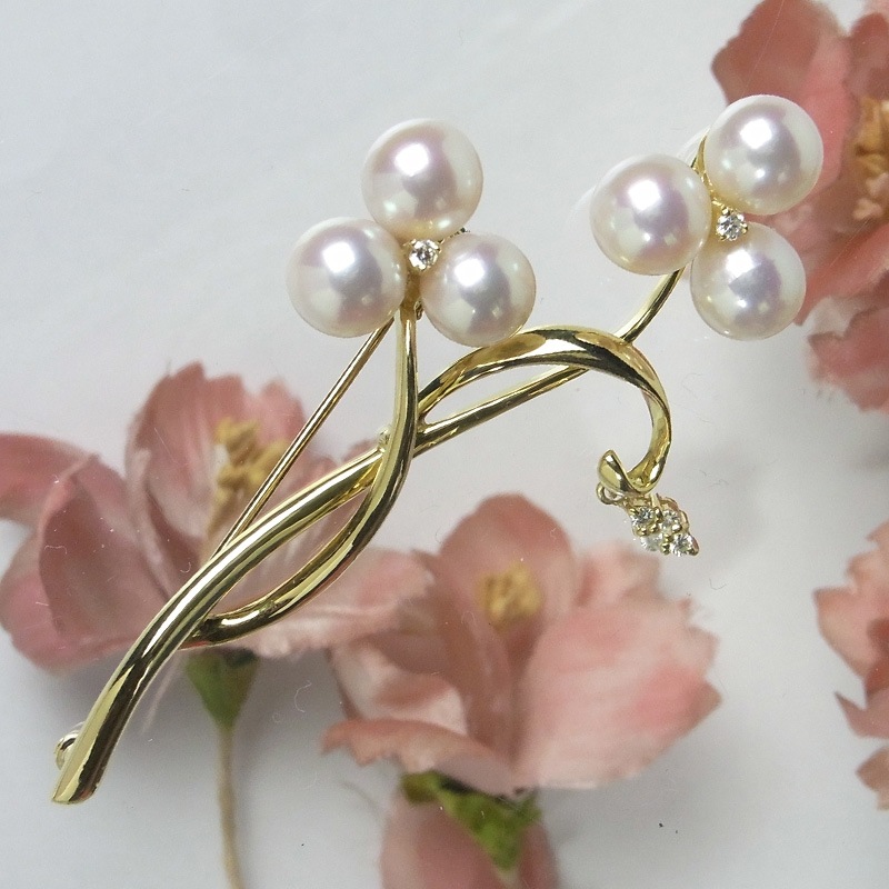 �ɤ���������ɤ⥢������Ȥ�̥�Ǥ�K18�����֥�����������ʪ�ڤ����俿���