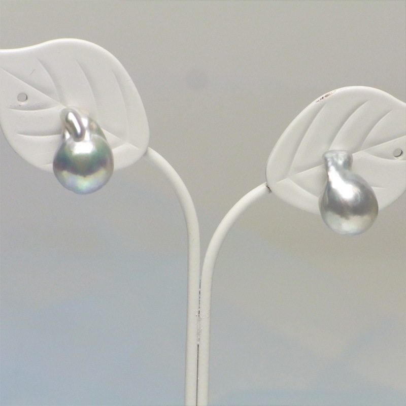 ŷ�Ȥα��ڥʥ�����֥롼8.5�Сۥԥ���-C�ڥͥåȸ����