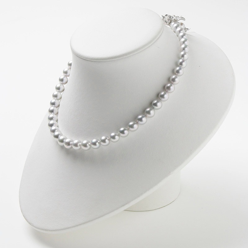 ͥ졼ϥѡݣǤͥå쥹Խ˵䤪ޯȤˤФܤץ쥼ȤˤĤޯαޥԥդڤ俿