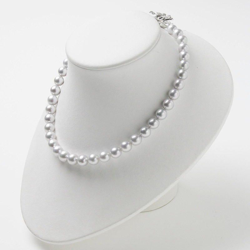 ¸ߴ롢뤵Ǥ졼Ϥγݣ5ͥå쥹Խ˵䤪ޯȤˤФܤץ쥼ȤˤĤޯαޥԥդڤ俿