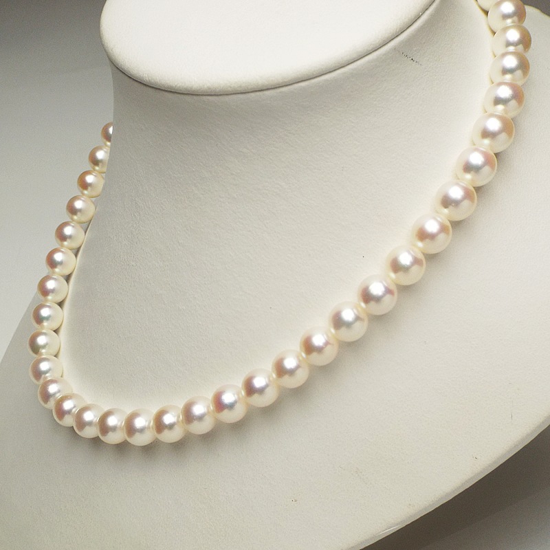 �ܿ��줬����������̵�������Υͥå��쥹����̩�˴������Ȥ��������ۥ磻�ȷϥԥ󥯤����䣸���������ݣ������ͥå��쥹�ڤ����俿���