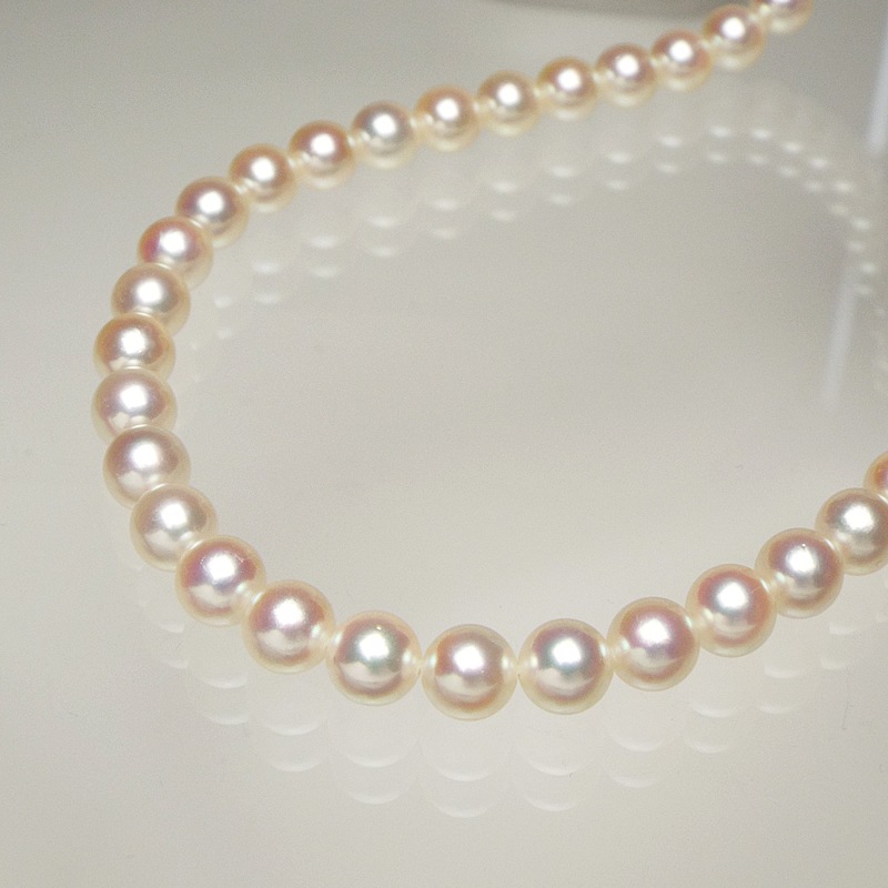 �ܿ��줬����������̵�������Υͥå��쥹����̩�˴������Ȥ��������ۥ磻�ȷϥԥ󥯤����䣸���������ݣ������ͥå��쥹�ڤ����俿���