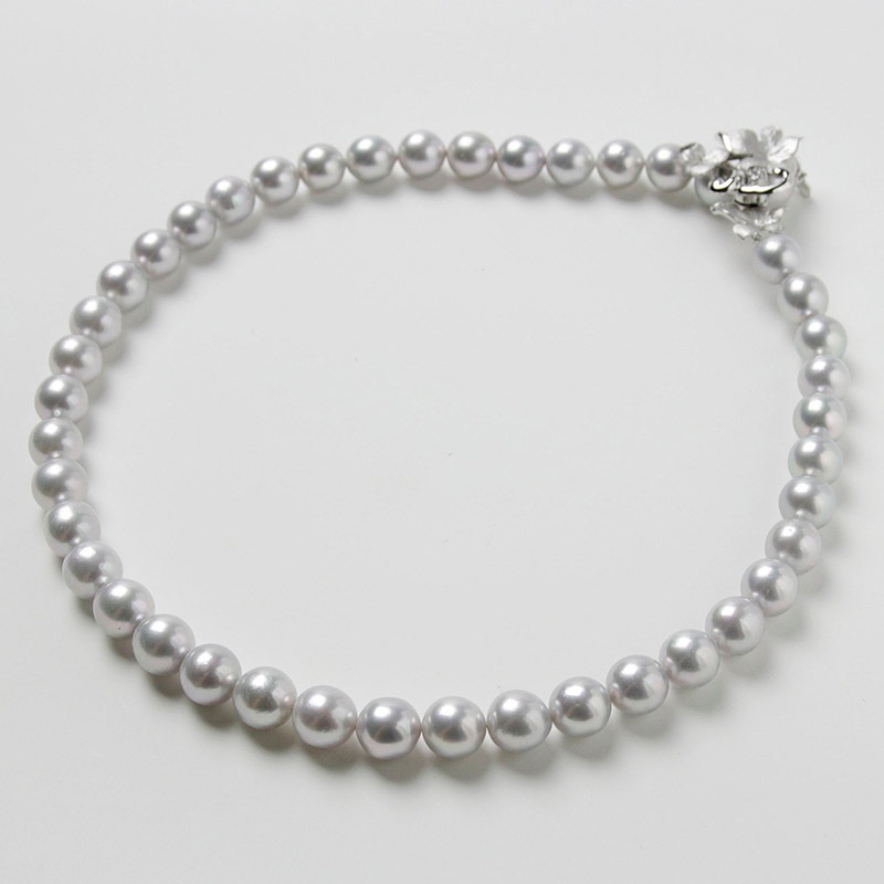 ¸ߴ롢뤵Ǥ졼Ϥγݣ5ͥå쥹Խ˵䤪ޯȤˤФܤץ쥼ȤˤĤޯαޥԥդڤ俿