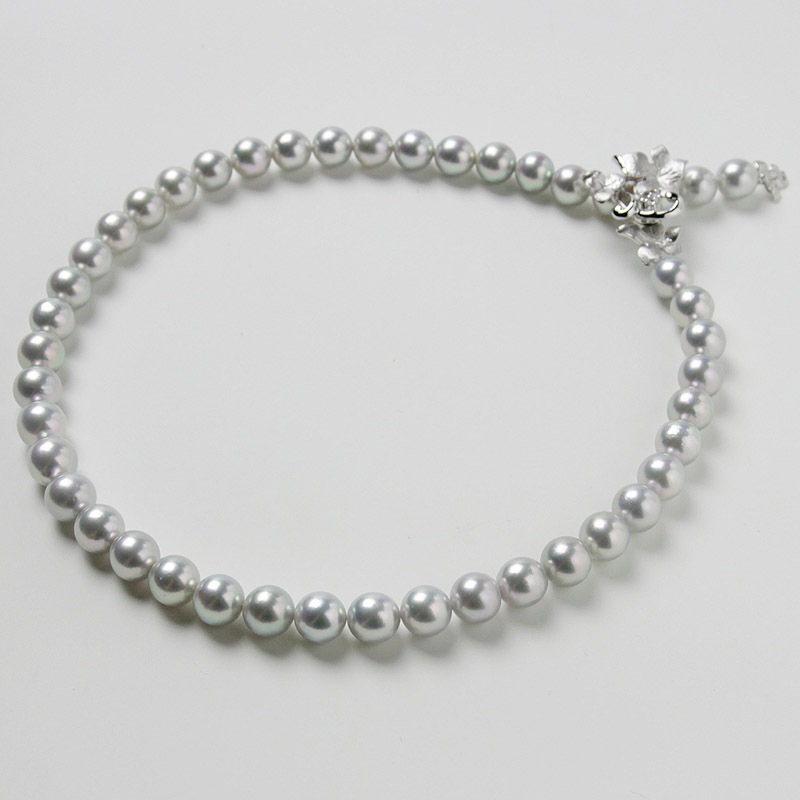 ¸ߴ롢Ǥ졼ϥѡ룹ݣǤͥå쥹Խ˵䤪ޯȤˤФܤץ쥼ȤˤĤޯαޥԥդڤ俿