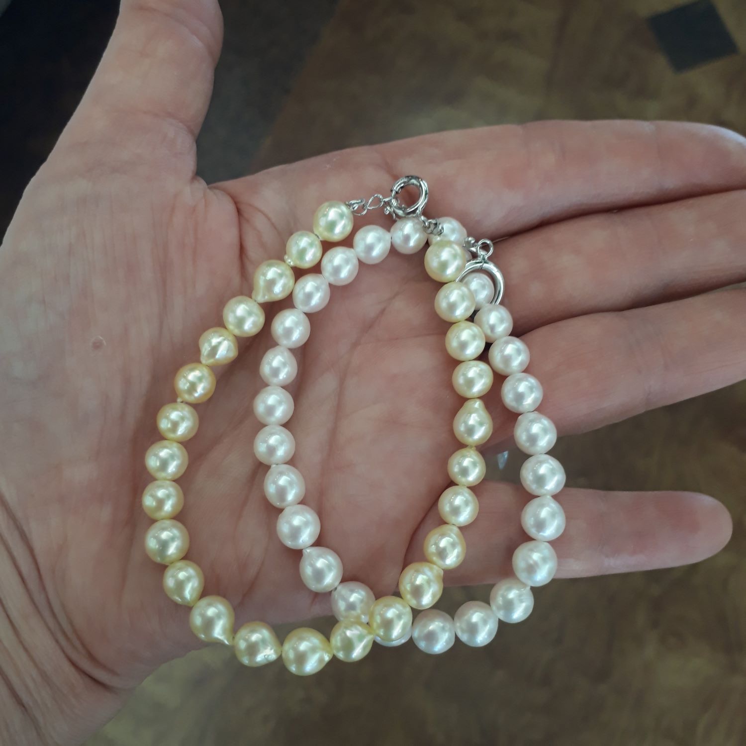 ⿧6-7̥ǤΥ֥쥹å_bls324ڤ俿ۥʥ