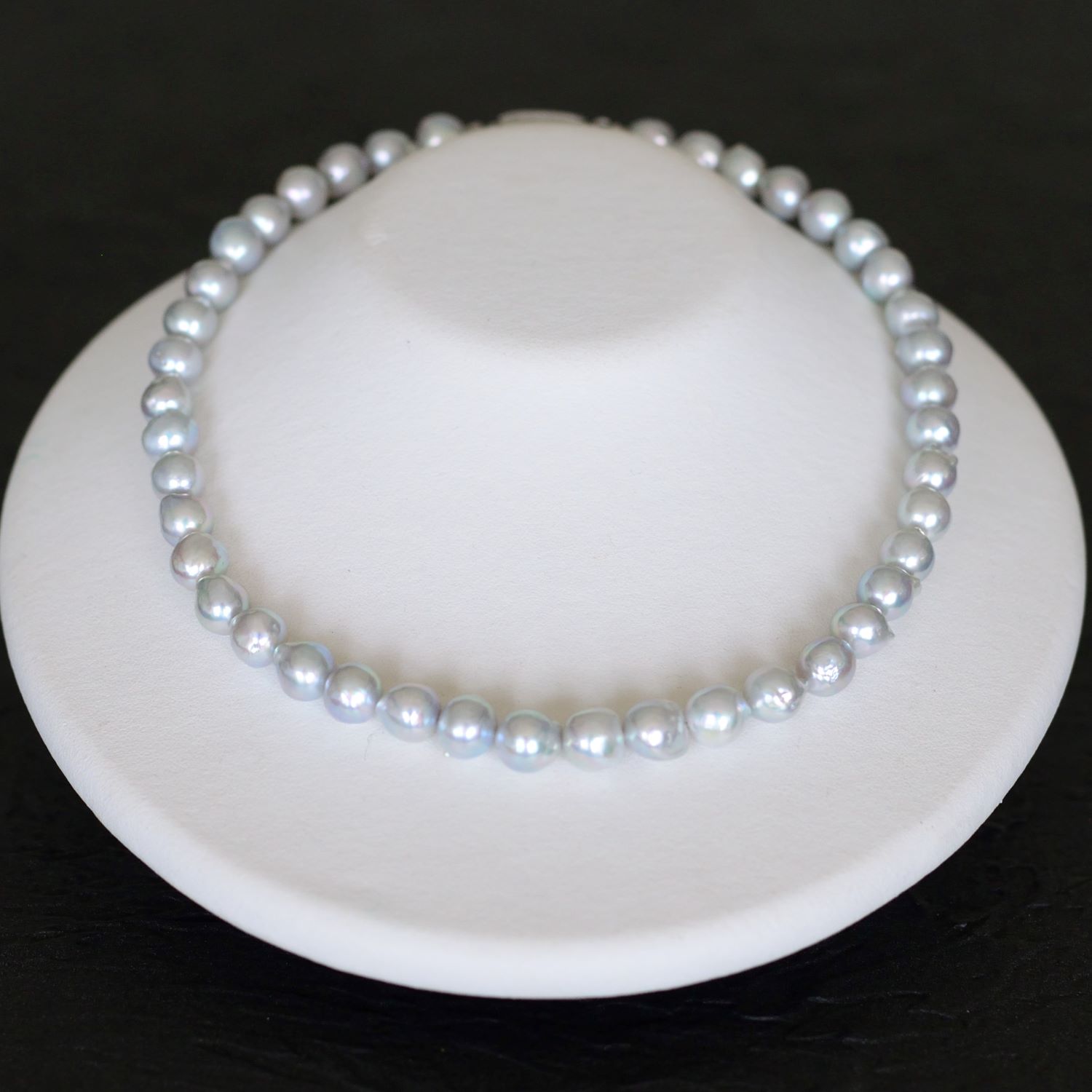 ��䤫�ʥ�����֥롼���졼8.8��-9.5�Хͥå��쥹�ڤ����俿���ND_1424