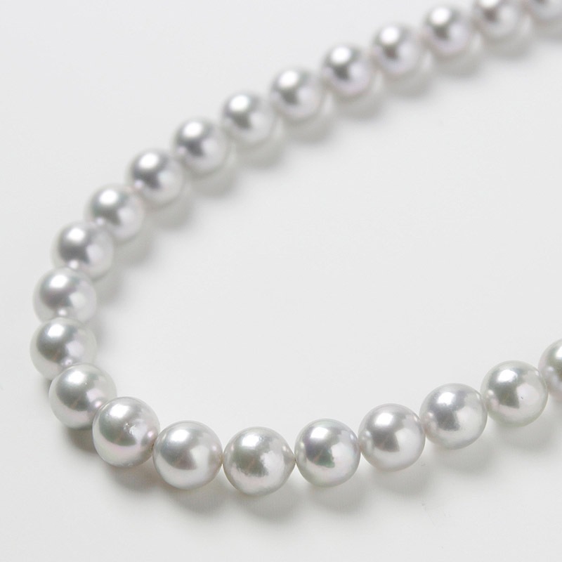 ͥ졼ϥѡݣǤͥå쥹Խ˵䤪ޯȤˤФܤץ쥼ȤˤĤޯαޥԥդڤ俿