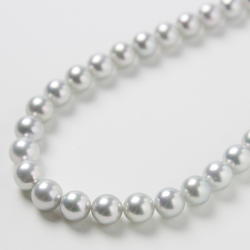 ¸ߴ롢Ǥ졼ϥѡ룹ݣǤͥå쥹Խ˵䤪ޯȤˤФܤץ쥼ȤˤĤޯαޥԥդڤ俿