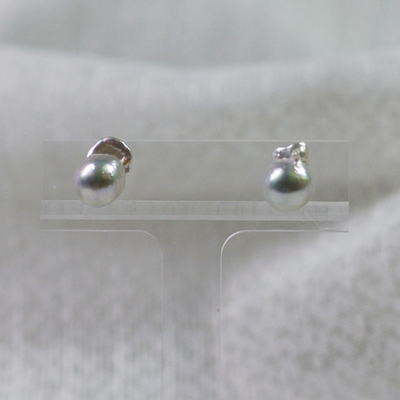 ŷ�Ȥα��ڥʥ�����֥롼8.5�Сۥԥ���-C�ڥͥåȸ����