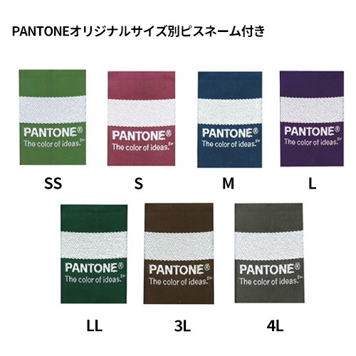 レディスストレートパンツ スクラブ パンツ 6012SC PANTONE パントン FOLK レディース 白衣 ズボン 医療用 人気 制服 ユニフォーム 医師 看護師 歯科 歯科衛生士 スリム 総ゴム おしゃれ 可愛い おすすめ
