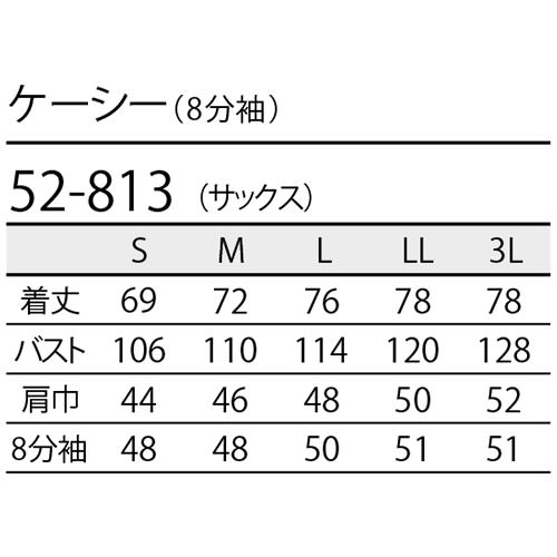 ケーシー 白衣 ジャケット 52-813 医療 治療 襟なし 住商モンブラン メンズ 男性用 8分袖 八分袖 医師 医者 看護師 ナース 医療用 病院 クリニック 作業療法 人気 上衣 医務衣 診察衣 丈夫 薄手 かっこいい おしゃれ