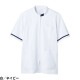 ケーシー 白衣 ジャケット 72 -854 ～ -858 医療 襟なし 住商モンブラン メンズ 男性用 半袖 医者 看護師 ナース 医療用 病院 作業療法 人気 夏 冬 上衣 診察衣 制電 前開き ジップアップ シンプル かっこいい おしゃれ