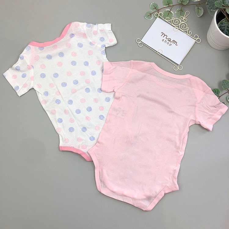 �ڥ٥ӡ���ǭ�ߥɥå�Ⱦµ���쥳ȩ�塡2�祻�å�