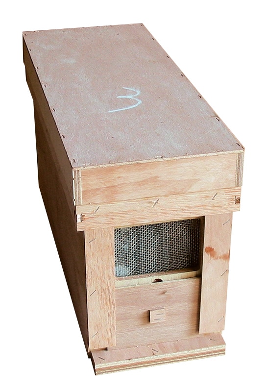 �٥˥�Ȣ����ߥĥХ�1.5�緲��̵���ˡ���3000ɤ�̡�