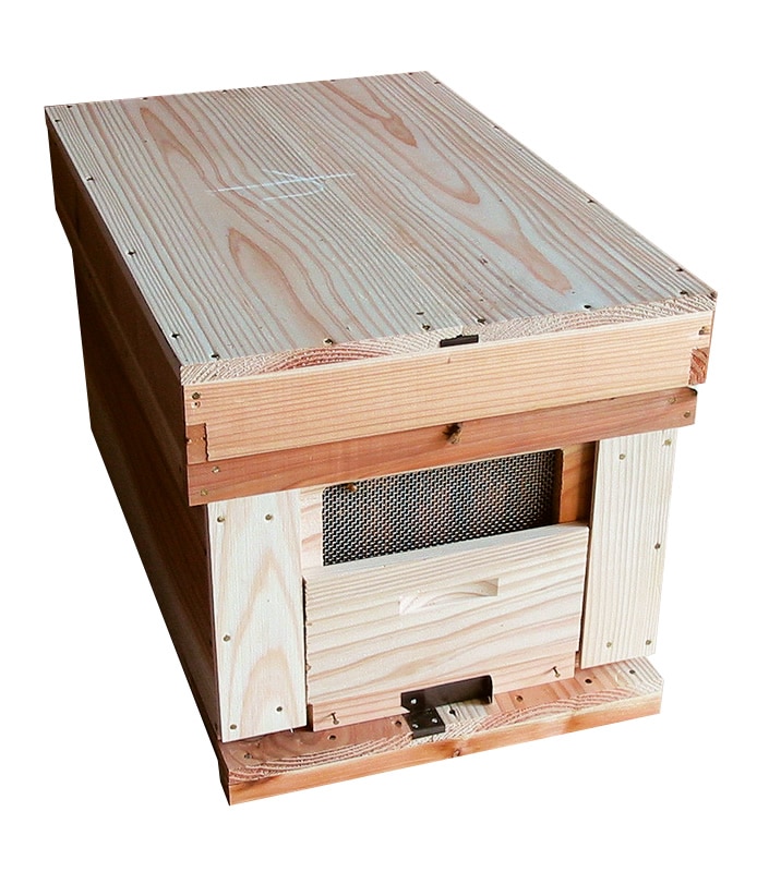 syumatsuyoho_hive4