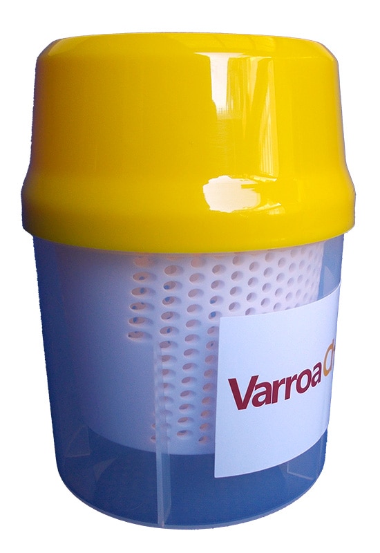 ���˥����å�