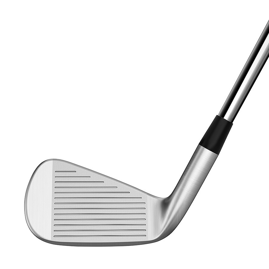 テーラーメイド P770 アイアン 2023年モデル 6本セット Dynamic Gold EX Tour Issue S200 スチールシャフト メンズ 右用 TaylorMade 日本モデル