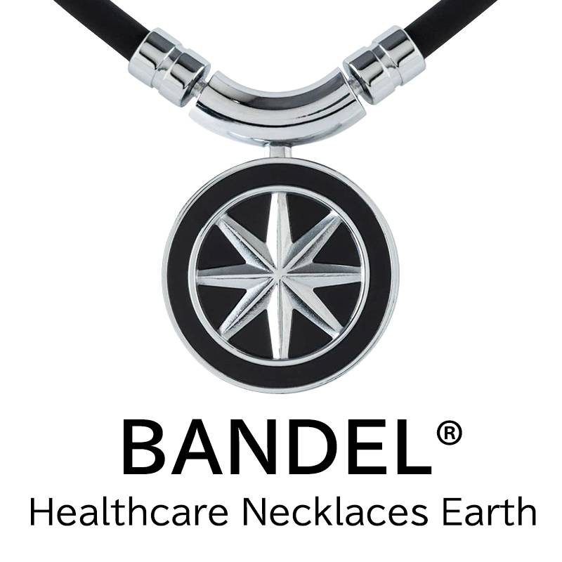 BANDEL 磁気ネックレス Earth Black×Silver  <br>バンデル ネックレス シルバー メンズ レディース 肩こり 肩こり解消 冷え解消 プレゼント ギフト