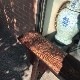���奢��ƥ������٥����|�����Υ梁�ꡡ���Υ梁�꡼��chinoiserie���ޥ�����mandarin