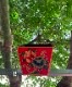 ٥åȤΤ֤Ȣ|Υ梁ꡡΥ梁꡼chinoiserieޥmandarin