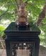 Ʃ����Ħ��β��� ������ƥ������ž夲 ��|�����Υ梁�ꡡ���Υ梁�꡼��chinoiserie���ޥ�����mandarin