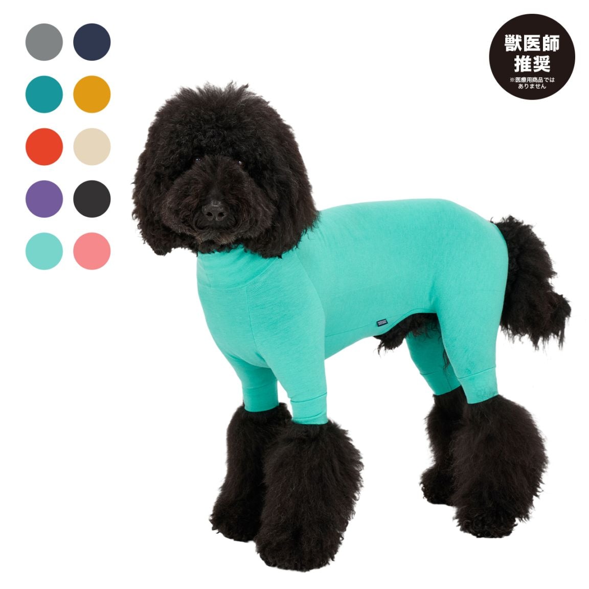 NEW ITEM,NEW COLOR | 犬服 MANDARINE BROTHERS マンダリン