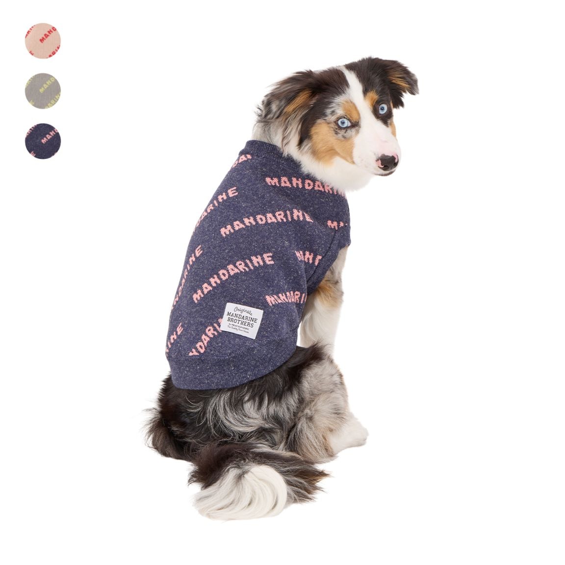 MNDRN LOGO KNIT | WEAR | 犬服 MANDARINE BROTHERS マンダリン