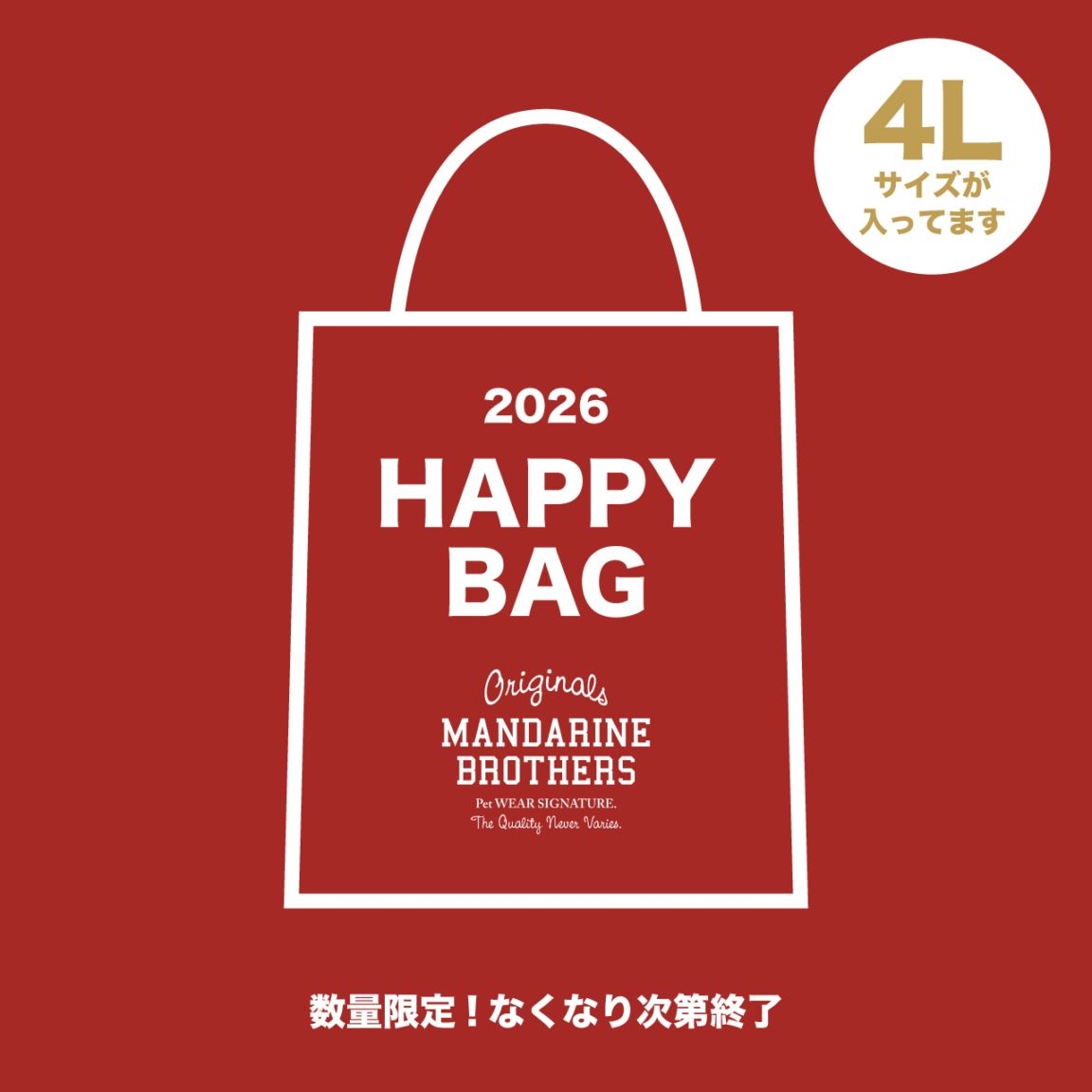 【予約販売】HAPPY BAG （4Lサイズ）（2025年福袋）【同梱不可】