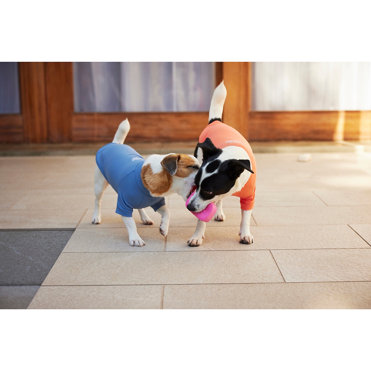 LATEX BAR SOAP TOY | TOY | 犬服 MANDARINE BROTHERS マンダリン