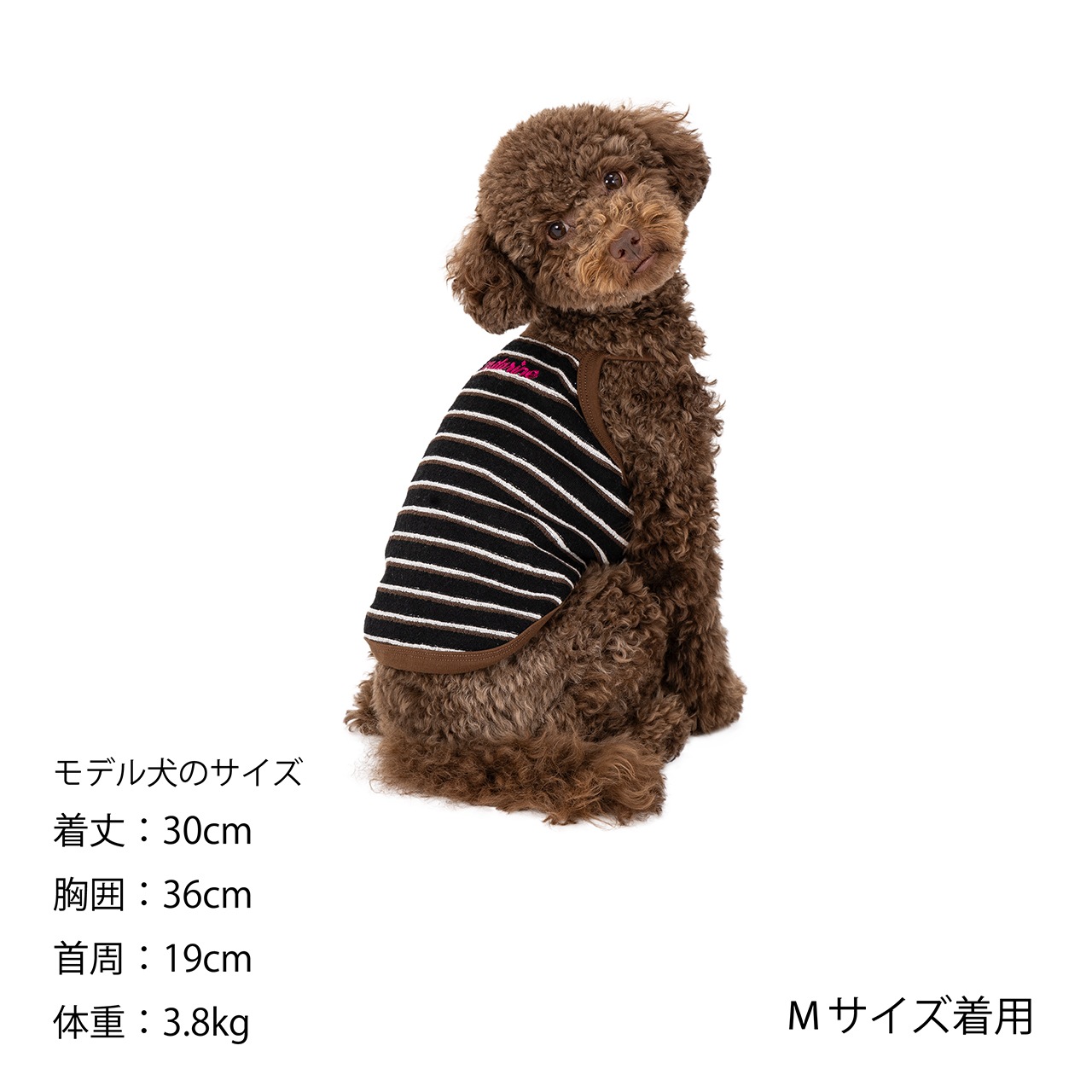 PILE BORDER TANK | WEAR | 犬服 MANDARINE BROTHERS マンダリン
