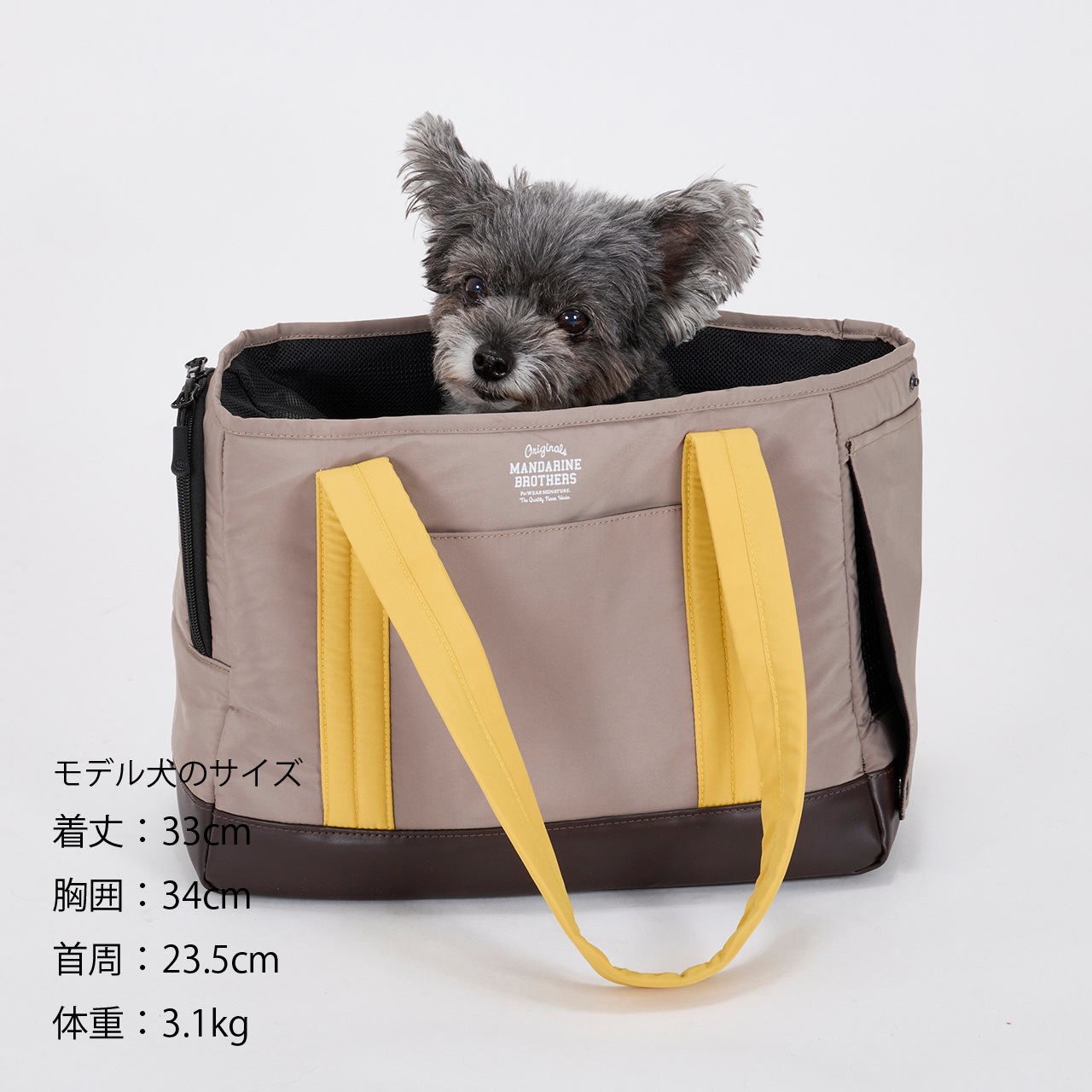 CUSHION MINI BAG | CARRY BAG | 犬服 MANDARINE BROTHERS マンダリン