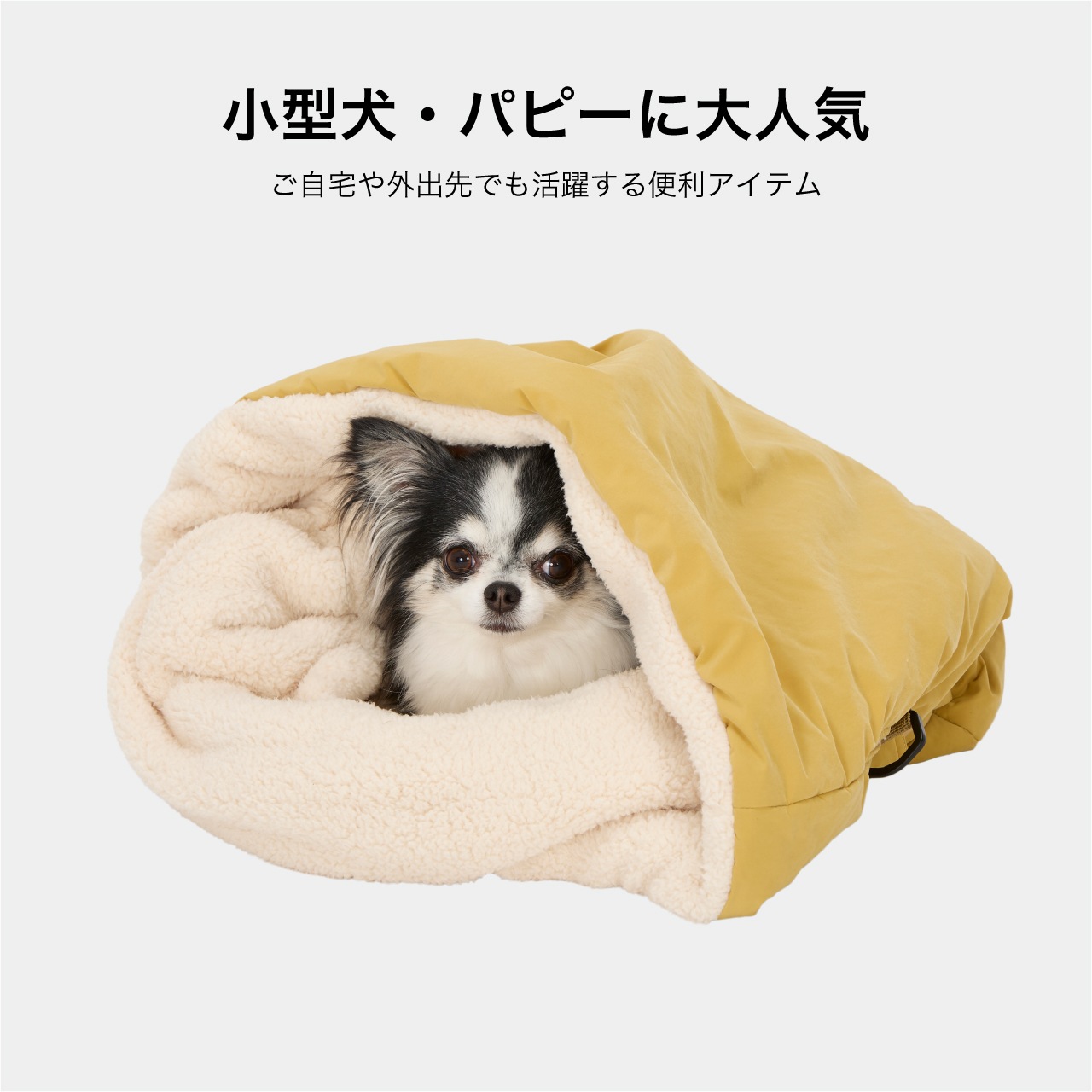 SLEEPING BAG