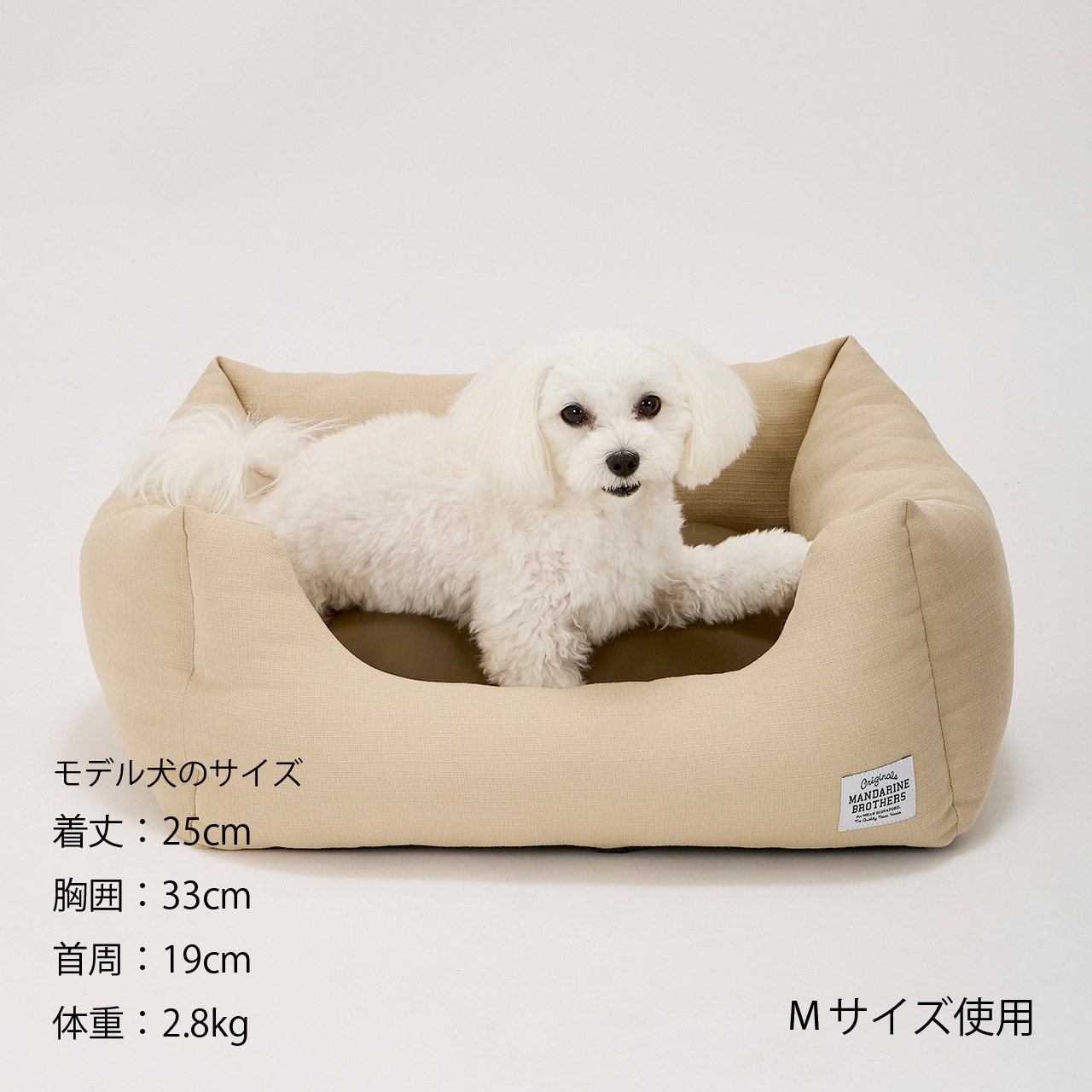 CUDDLER　2025年春夏新作