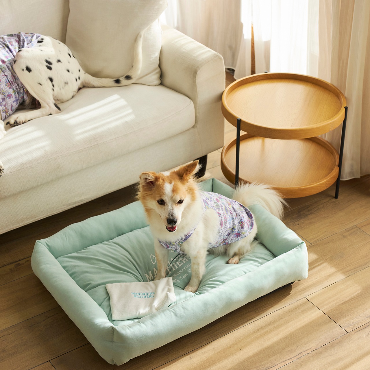 FLAT BED　2025年春夏新作