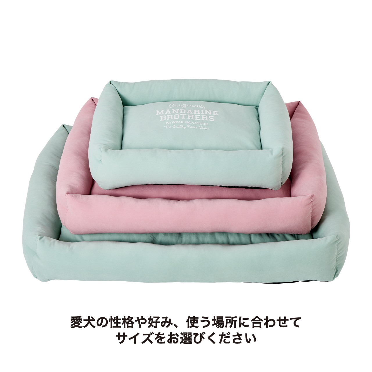 FLAT BED　2025年春夏新作