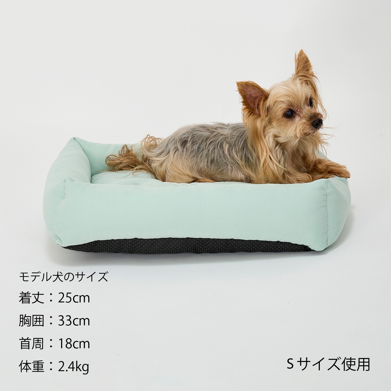 FLAT BED 2025年春夏新作 | BED＆MAT | 犬服 MANDARINE BROTHERS