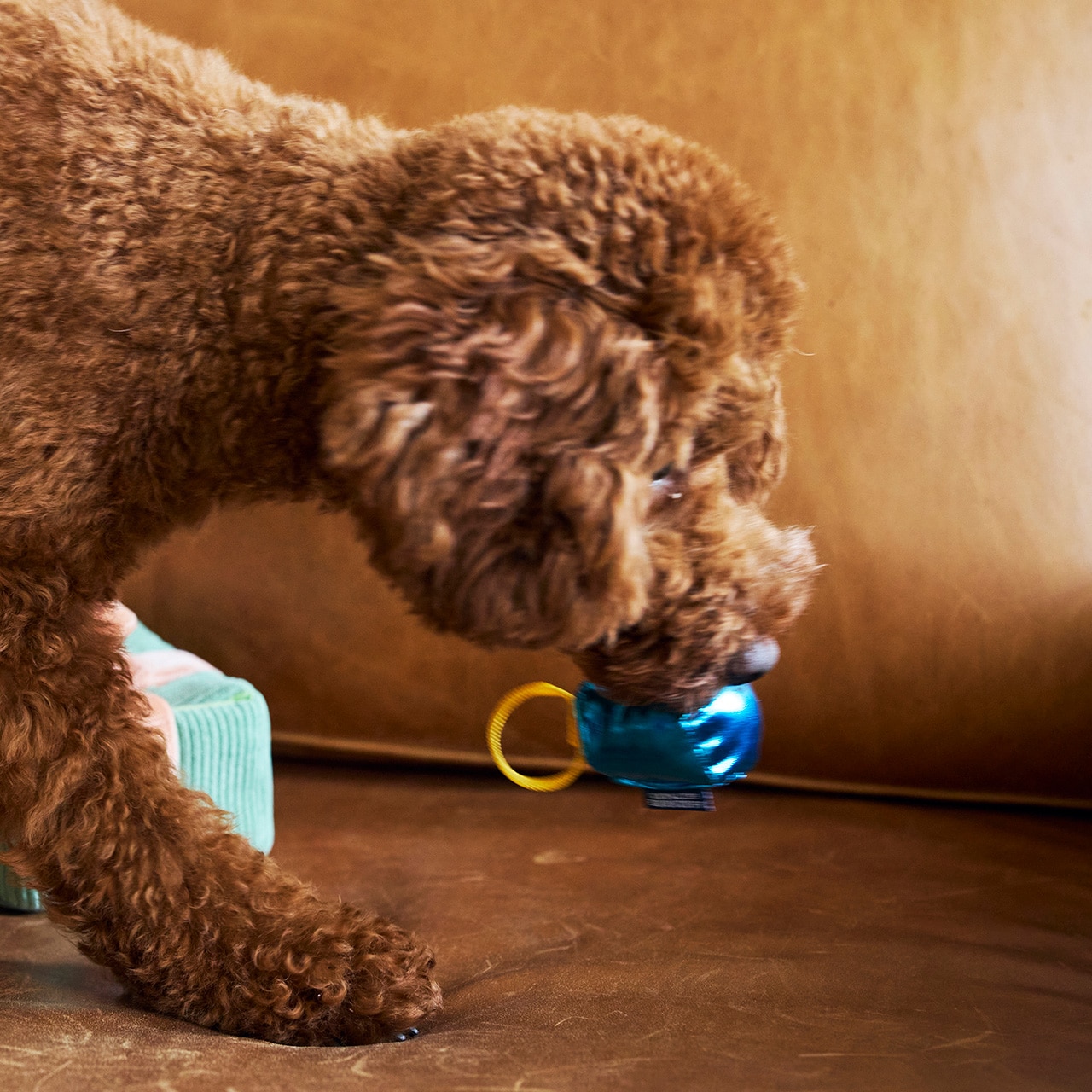 リモージュボックス　お散歩わんちゃん　犬　マーキング　フランス製 小物入れ ヴィンテージ フランス リモージュボックス 少年と子犬 その他雑貨