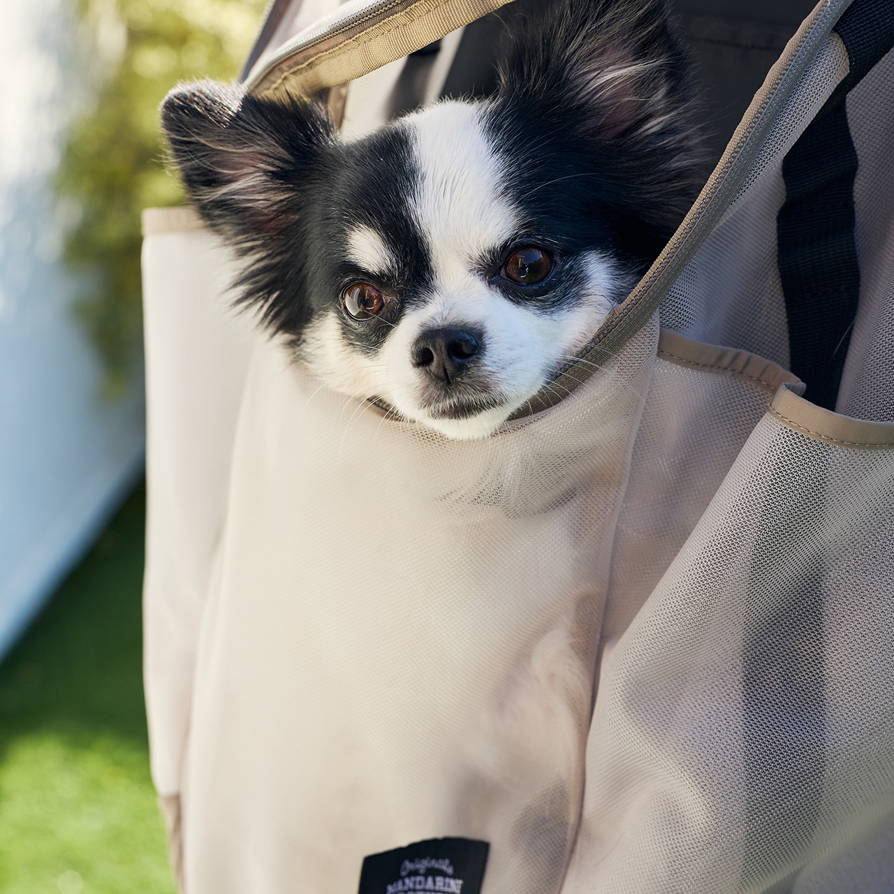 MESH WINSTON HUG BAG