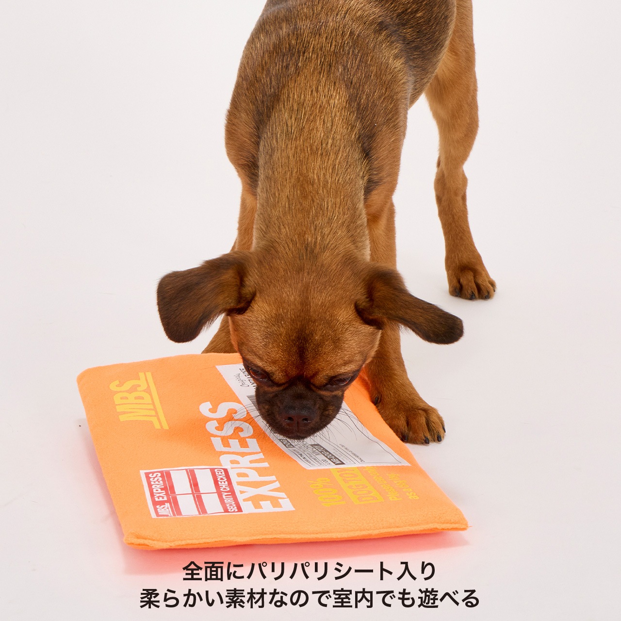 FLYING EXPRESS TOY | TOY | 犬服 MANDARINE BROTHERS マンダリン